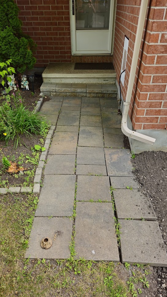 A patio with weeds growing between the pavers.