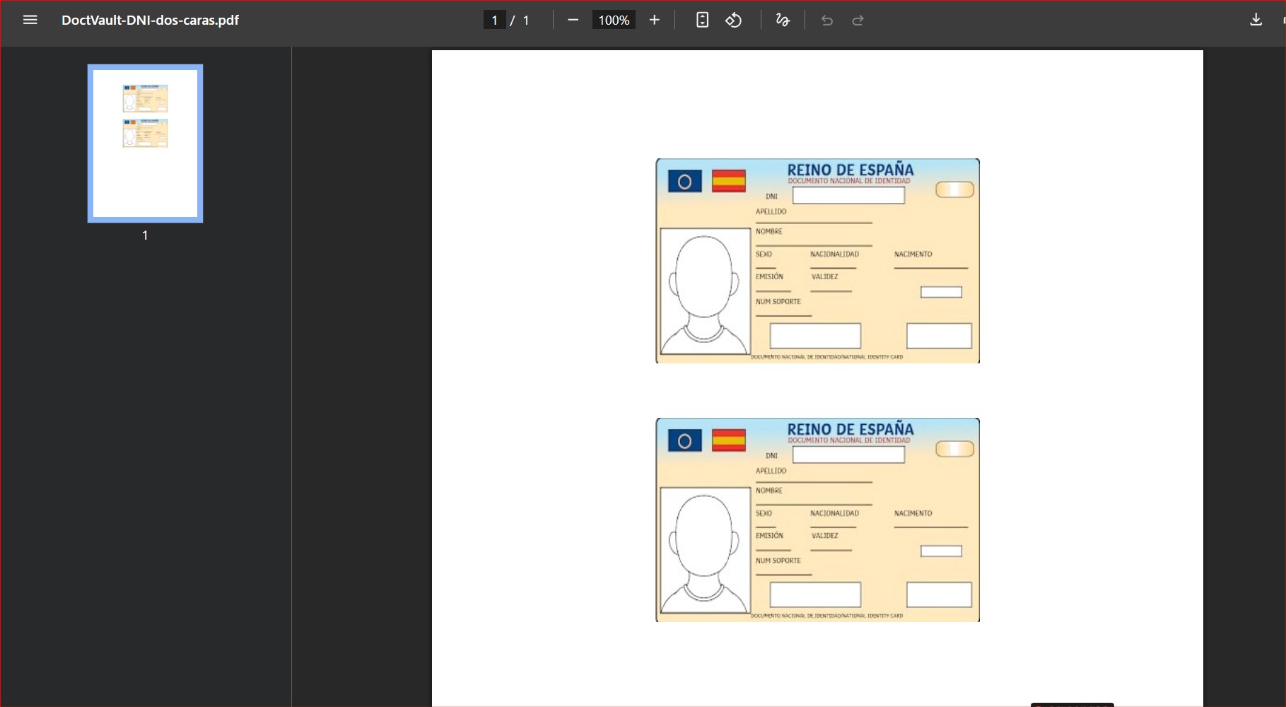 Imagen 4 del proyecto DoctVault — Plataforma Web de Procesamiento de PDFs en el Navegador