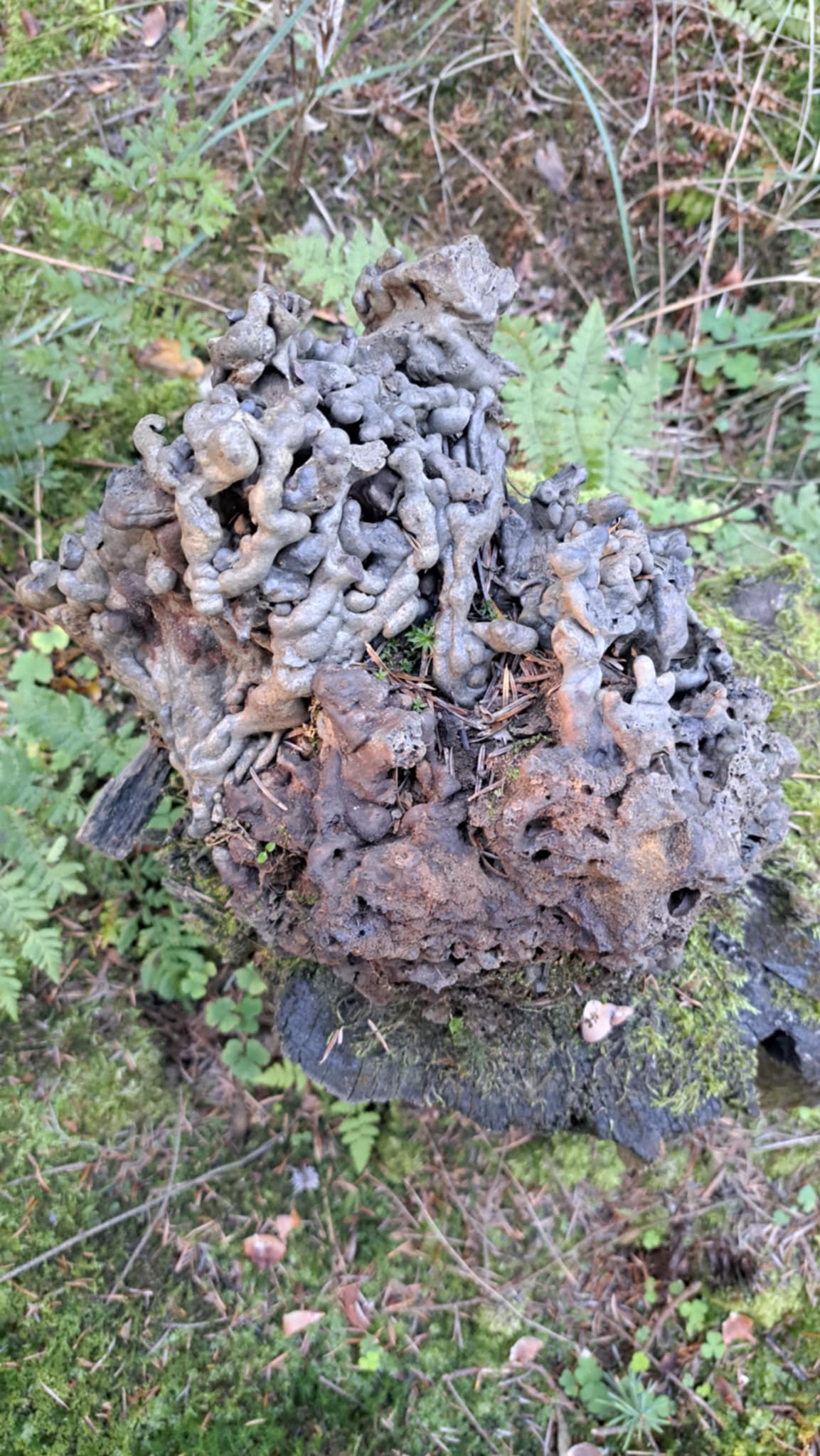coś metalowego