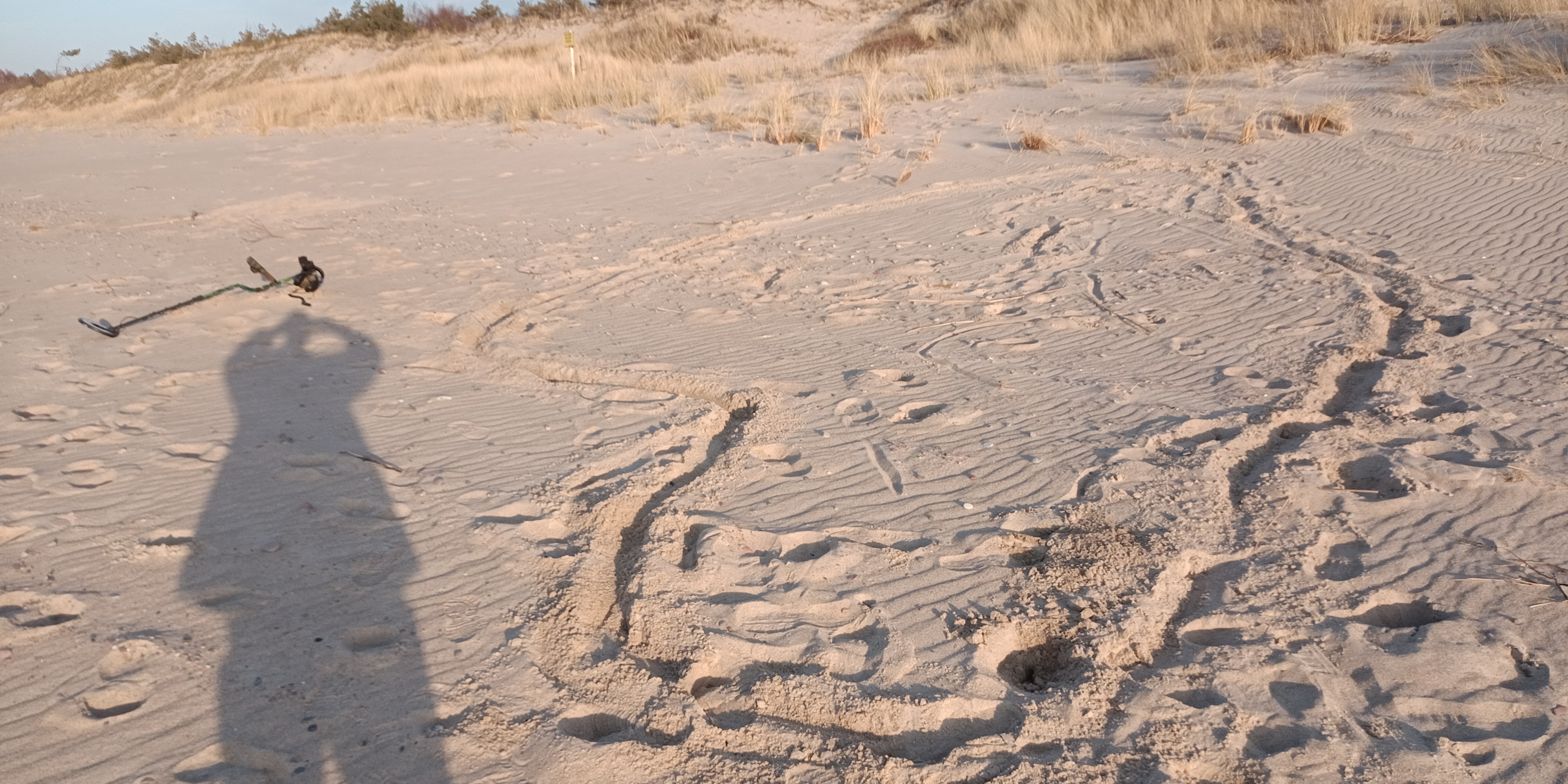 Wrak