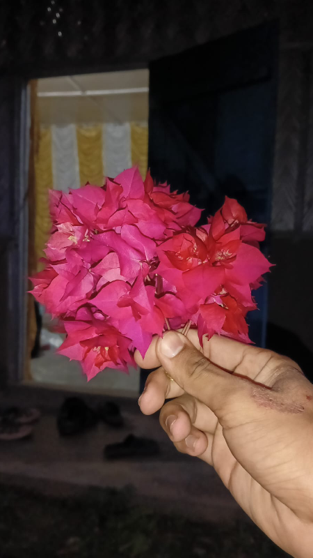 एकतर्फी मायाको नाम सन्ध्या