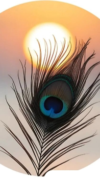 होली