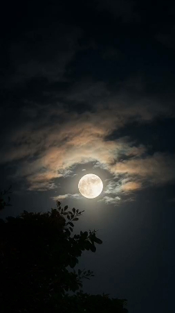 অপেক্ষাৰ শেষত: এটা আধৰুৱা আধ্যায়