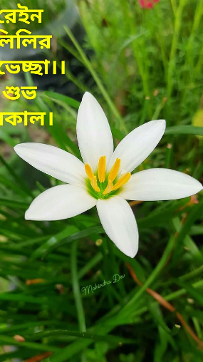 চিরকুট --