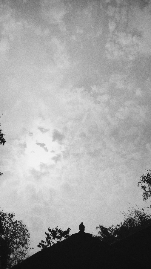 যাত্ৰা...