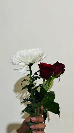 সান্নিধ্য ✨🤍