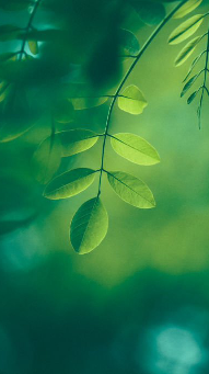ಹೆಂಗೈತೆ ಜೀವನ