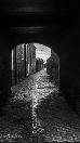 Alley of the Devil Child