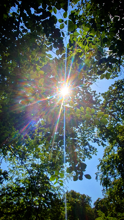 A swift sunrise and crow's wings [Long poem]