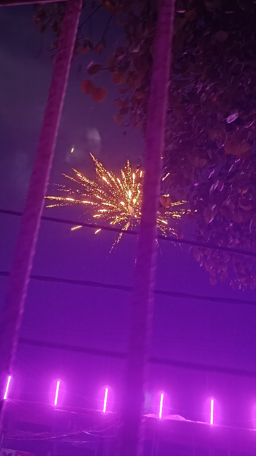 Durga Puja