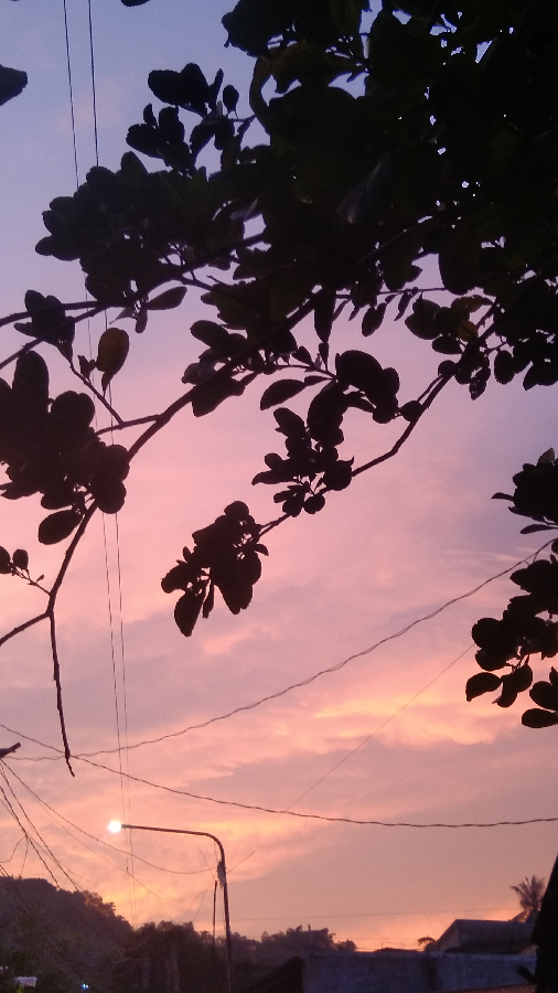 Lifeless feelings