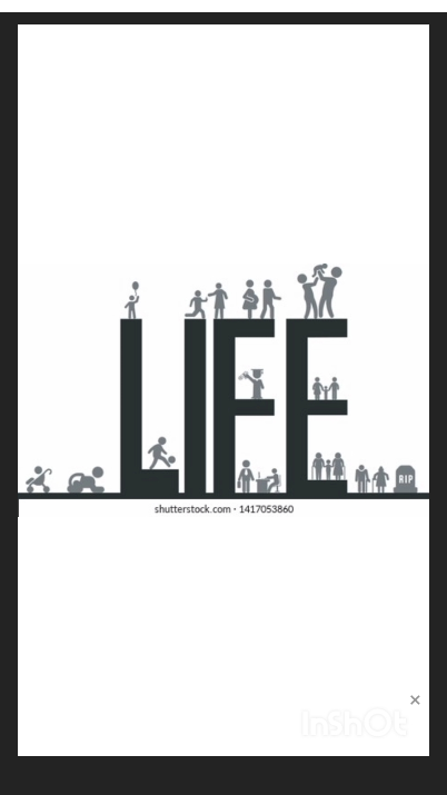 Pages of life