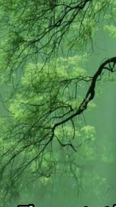 Song of the Spring