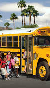 THE BUS