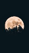 The Dream