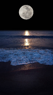 The Love Story of the Sea and the Full Moon❤️