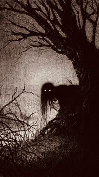The Shadow Behind the Door