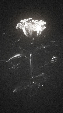 The Shadow of Betrayal.