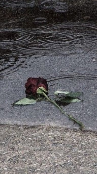 The Silence of a Broken Promise