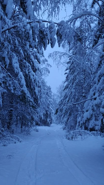 The Winter She Stayed: Three Poems of Love in the Quiet”