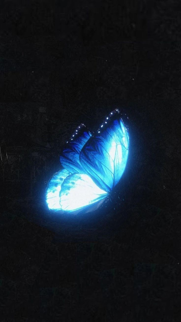 Uma Borboleta Azul