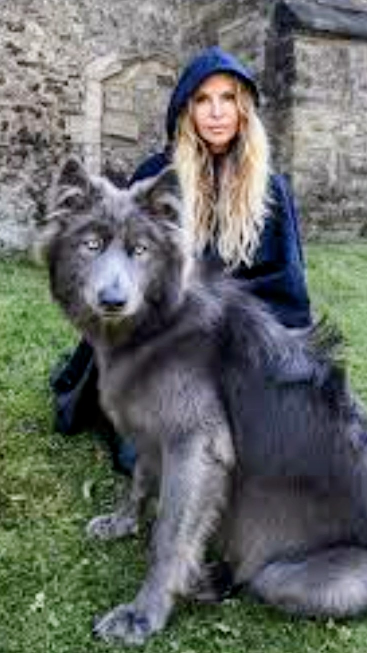 Wolves and the girl