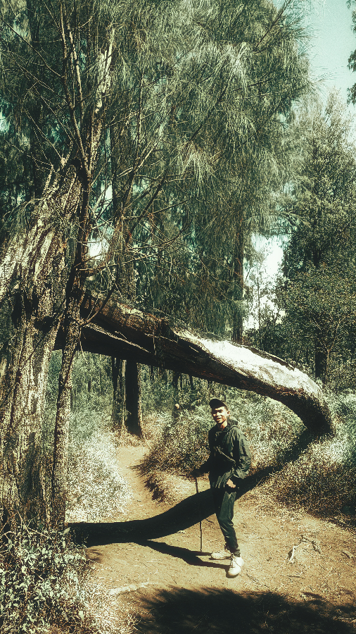 kosong