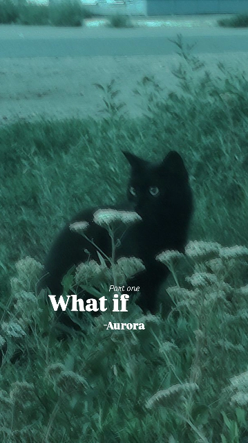 what if  (part-1)