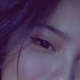 ғɪᴄᴛᴏᴘʜɪʟɪᴀ