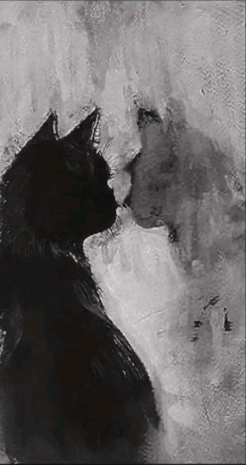 TheRaven101
