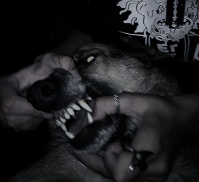 orurmi
