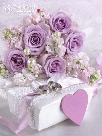 Miss_ Queen_