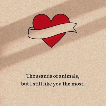 L♥️T Francesca