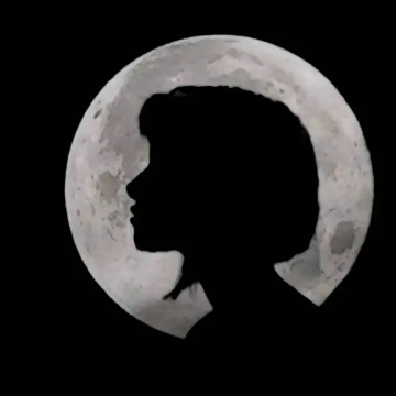 echoesofmoonlight