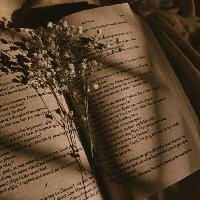 poesia_d'amore