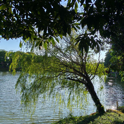 EvanMyst