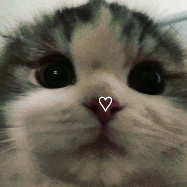raey