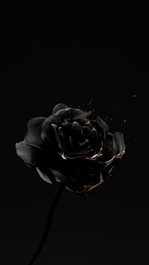 BlackRose_MQ
