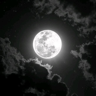 🌑