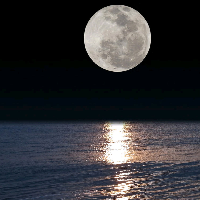 moon_light