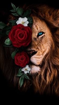 Simba