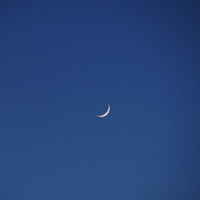 Moonlight 🌙