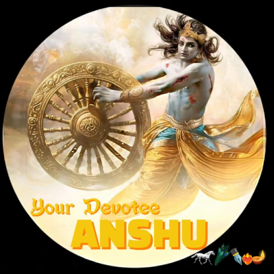 the_anshu0.0