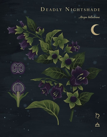 Night shade Halo