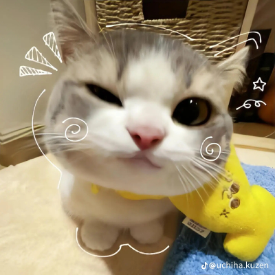 catwriting