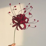 Lilly, the red one