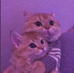 ♡Nay♡