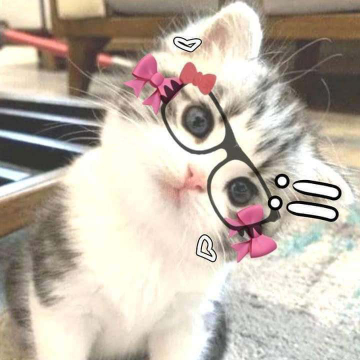 cutiecut