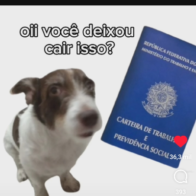 ddbr