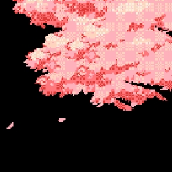 Isla.